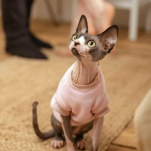 Hoodie Without Hood, Custom Cat Hoodie with Embroidered Name – Warm Pet Sweater for Sphynx and Hairless Cats – Personalized Pet Clothing