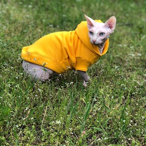 Custom Embroidered Cat Hoodie: Warm Cotton Pet Sweater for Sphynx