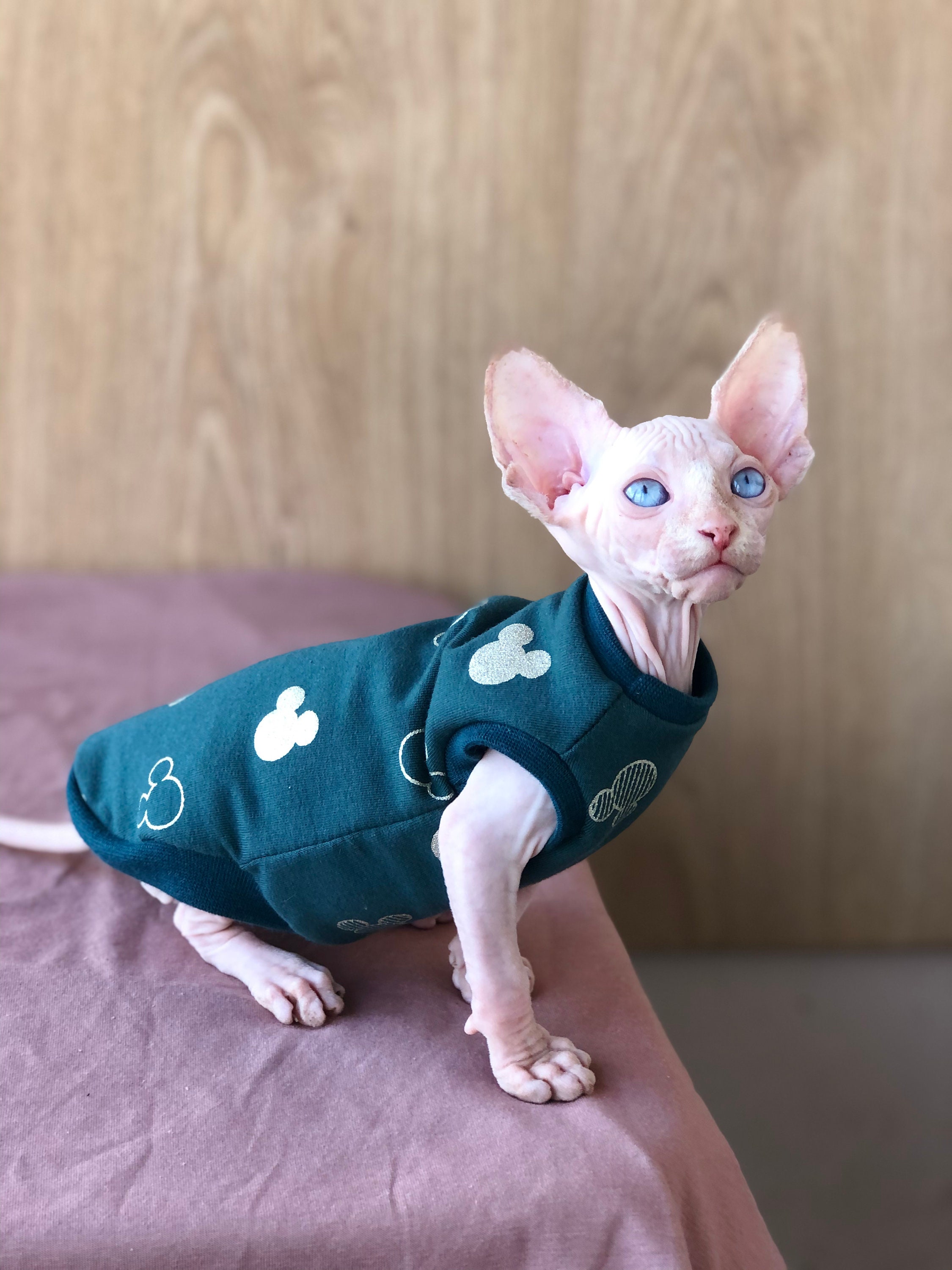 Anelekor Cute Cat Sweater Dresses with Necktie Decor Pet School Uniform  Costume Puppy Spring Autumn Outfit Soft Knitted Skirt Shirts for Cat Rabbit