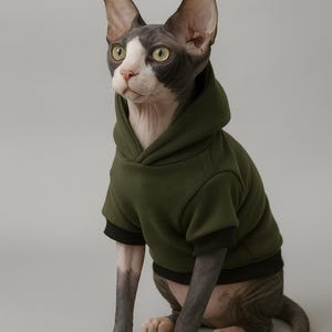 Può includere: Un gatto Sphynx con una felpa con cappuccio verde scuro con finiture nere. Il gatto ha la faccia grigia e bianca e grandi orecchie. Il gatto è seduto e guarda a sinistra su uno sfondo grigio.