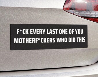 Funny Quote Bumper Sticker, Political Protest Progressive Sticker, Political Sticker, Activist Sticker Or Magnet, Progressive Liberal Resist