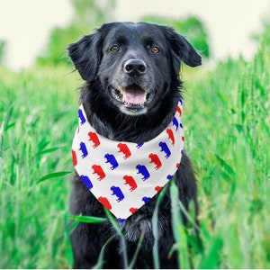 Buffalo Red & Blue All-Over Printed Bandana
