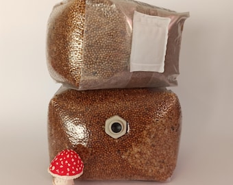Sterile Millet Grain Spawn Bags 3lb or 5lb Better Than Rye