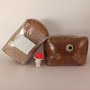 Könnte beinhalten: Zwei transparente Plastiktüten gefüllt mit braunem, körnigen Material. Eine Tüte hat einen weißen Filter und die andere ein kleines, beiges Luftventil. Vor den Tüten steht eine kleine rote und weiße Pilzfigur.