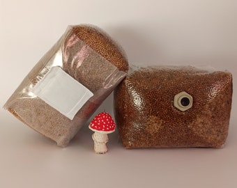 Bolsas de mijo estériles de 1,4 kg o 2,3 kg con puerto de inyección y filtro de aire