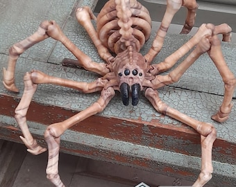 Araignée squelette articulée STL : décoration d'Halloween flexible (modèle imprimable 3D)
