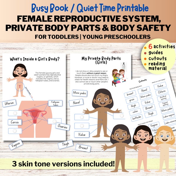 Female Reproductive System Toddler Busy Book Human Anatomy Private Parts Body Safety Printable About Me Homeschool Busy Bundle Preschool