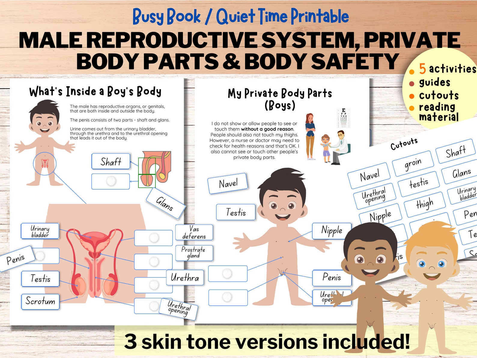 Male Reproductive System Toddler Busy Book Human Anatomy Private Parts male-reproductive-system-toddler-busy-book-human-anatomy-private-parts