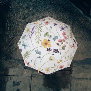 Puede incluir: Un paraguas blanco con un estampado floral que presenta varias flores, hojas y mariposas. El paraguas está abierto y el mango es visible.