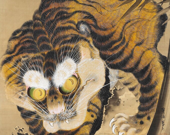 Katayama Yokoku - Tiger Emerging from Bamboo 18th century - Digital Art Download
