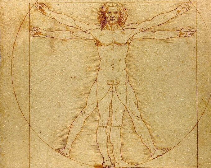 Leonardo da Vinci - Vitruvian Man  (1492) - Digital Art Download