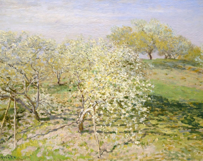 Claude Monet - Spring - Fruit Trees in Bloom  (1873) - French Impressionists - Digital Art Download
