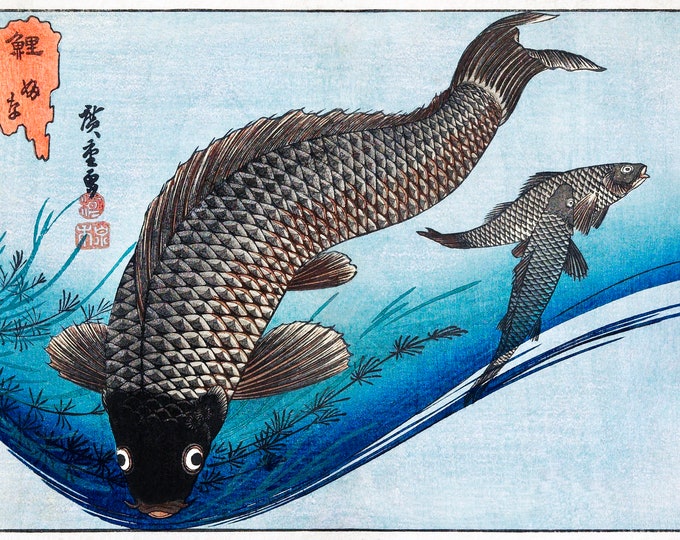 Utagawa Hiroshige - Carp and Crucians  (1830) - Digital Art Download