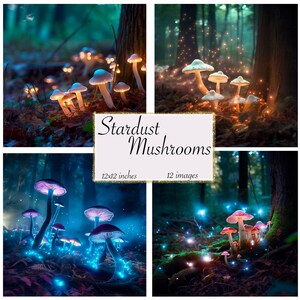 Stardust Mushrooms Journal Paper, Carta digitale, Pagine del diario cartaceo Fantasy stampabili in carta 12x12 download istantaneo