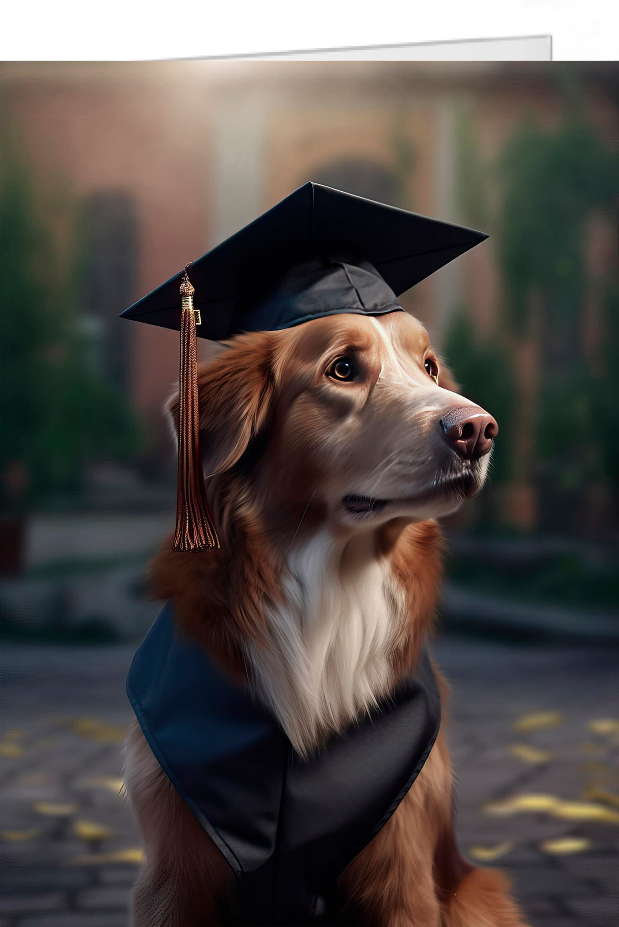 Graduation Dog in Cap and Gown Graduation Dog Card Personalized and Customizable 5x7 Greeting