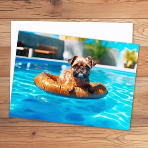 Brussels Griffon Dog in Swimming Pool Raft 5x7 Greeting Card Customizable