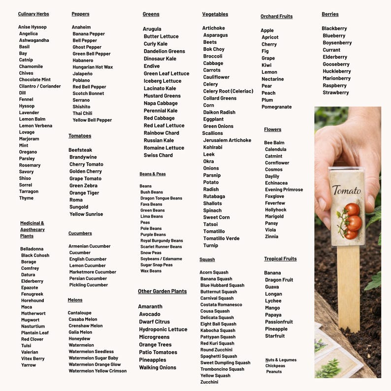 Seed Library Labeling Seed Labels Library, 200+ Printable Herb & Vegetable Garden Markers ...