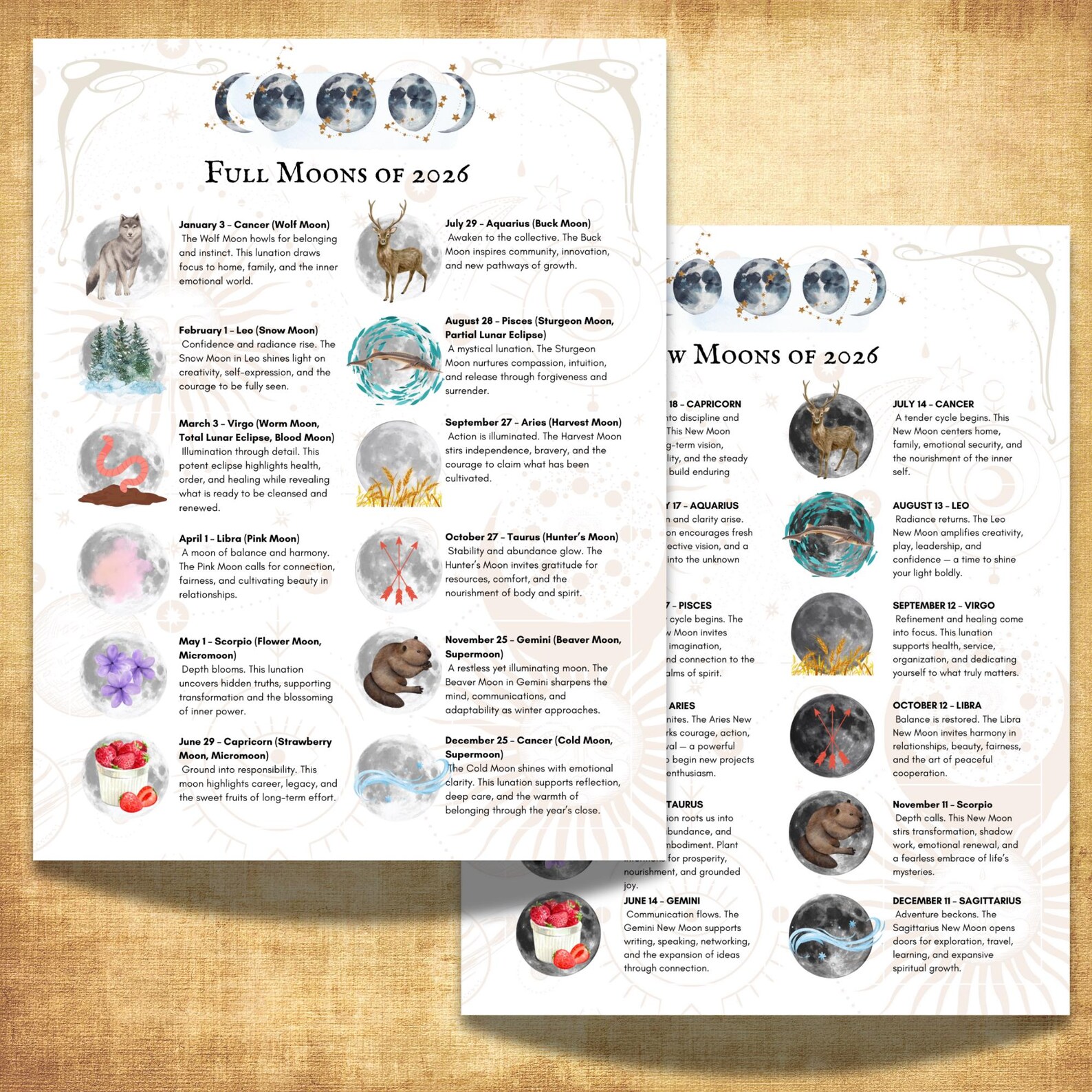Moon Phase Chart.pdf 2026 Moon Calendar, Lunar Phase Charts, Astrology Guide, Tarot Zodiac ...