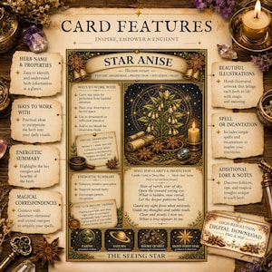 Star Anise printable herbal spell card featuring magical correspondences, apothecary ritual design, and celestial botanical artwork.