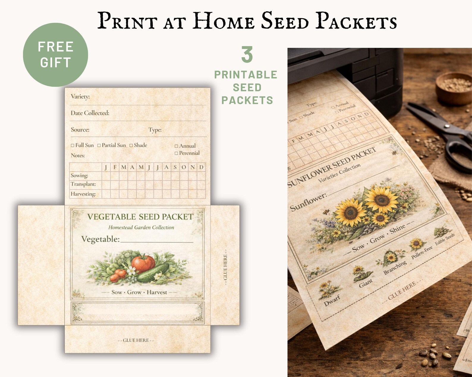 Seed Starting Log, Printable Garden Planner Page, Plant Growth Tracker ...
