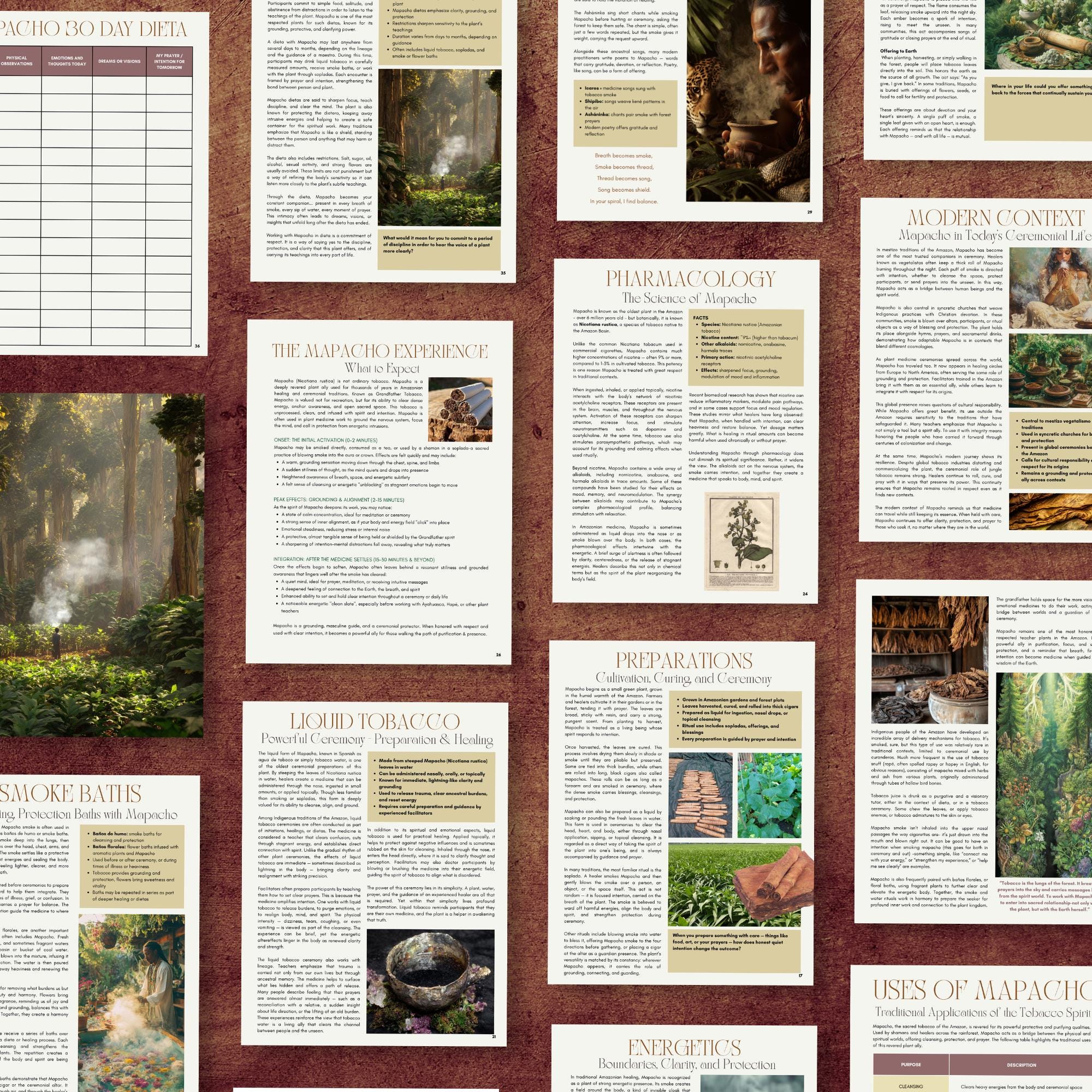 Mapacho Tobacco Guide, Amazonian Dried Leaf, Sacred Plant Medicine Ceremony  (printable PDF)