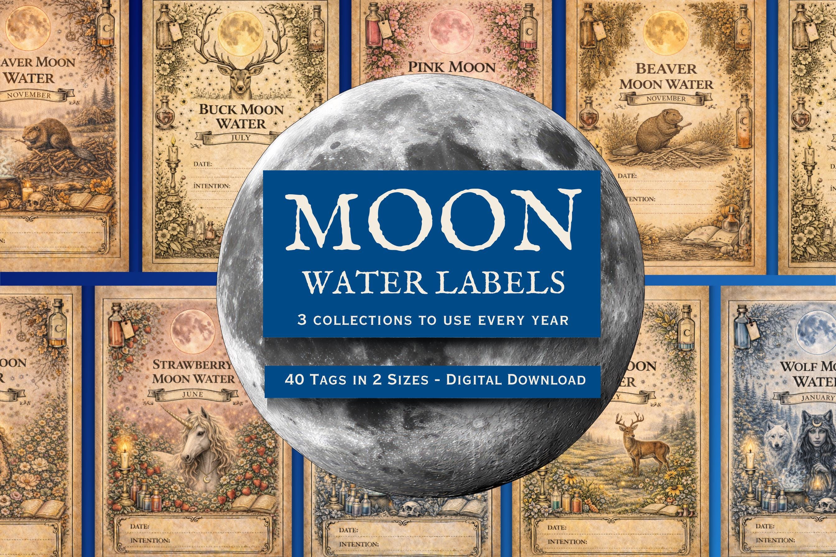 Moon Name Labels Moon Water Labels, Lunar Phase Ritual Tags, Seasonal Astrology ...