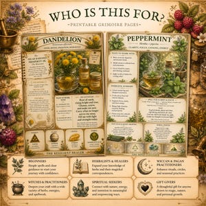 Herbal magic educational printable page featuring dandelion and peppermint apothecary cards with beginner-friendly magical correspondences.
