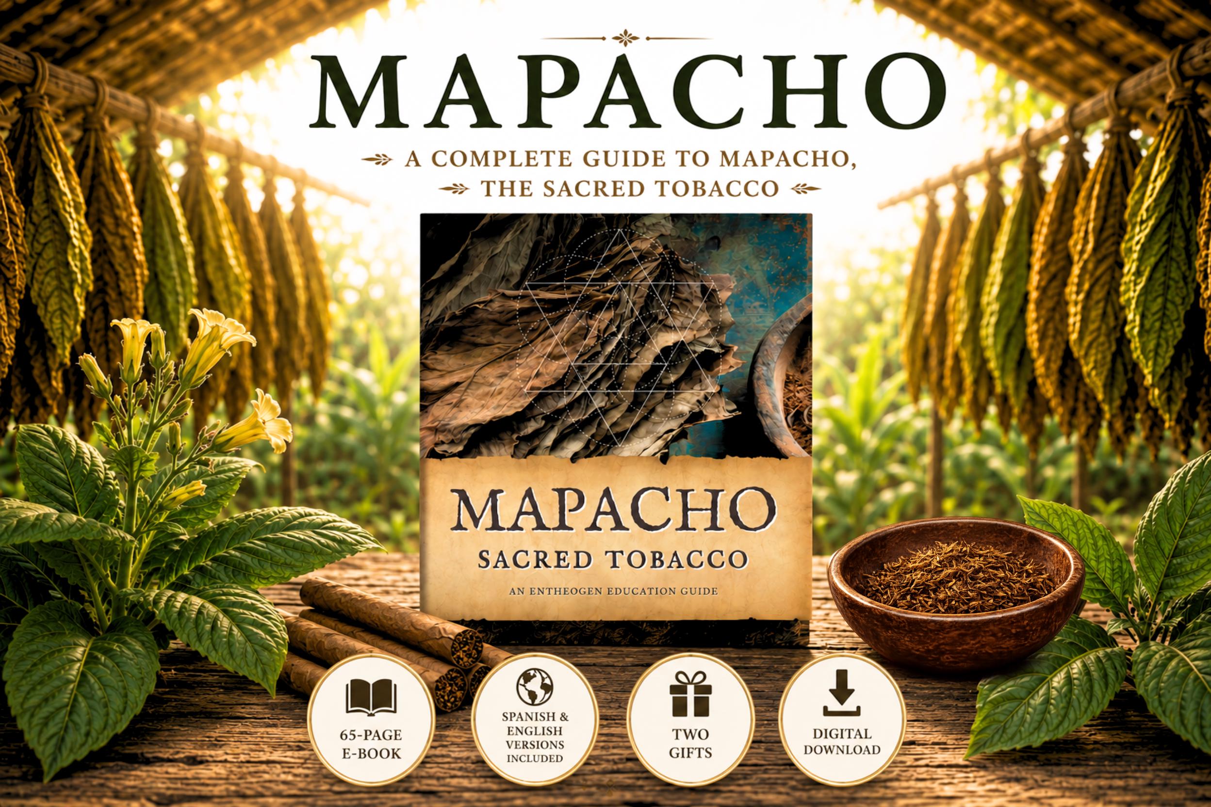 mapacho tobacco Organic Mapacho Tobacco