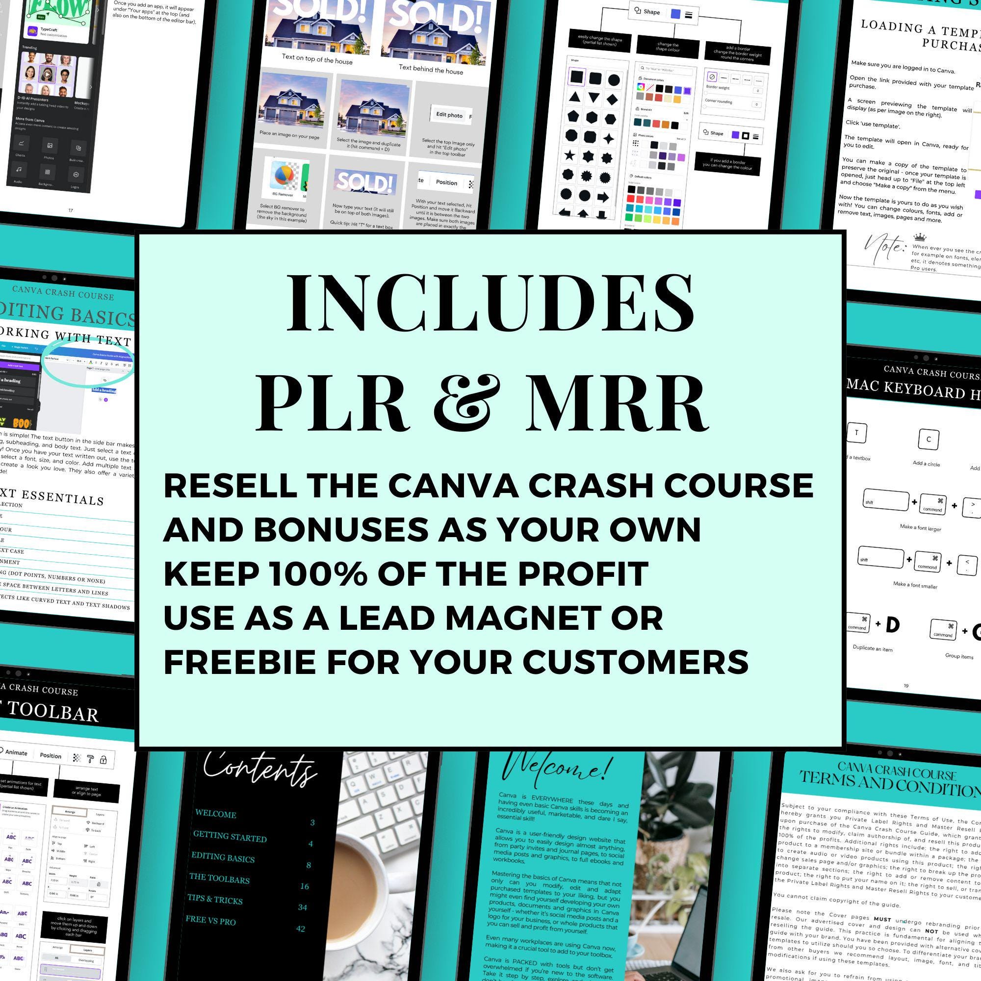 Canva Crash Course How to Guide With Video Tutorials Master Resell ...