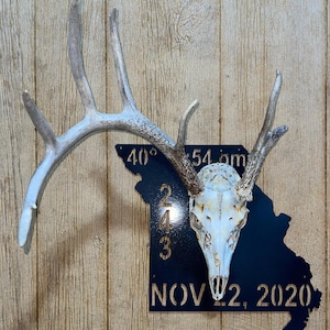 Deer European Mount PLAQUES-Custom