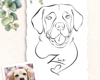 May include: A black line art drawing of a Labrador dog on a white rectangular paper with deckled edges. The drawing features the name Zino written in cursive script below the dog's head, followed by a small heart outline at the bottom of the page.