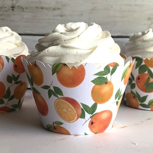 Little CUTIE Baby Shower Cupcake Wrappers – Orange Citrus Scalloped Edge Party Supplies for A Little Cutie is on the Way