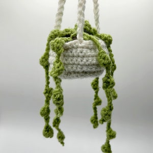 Crocheted Hanging Plant