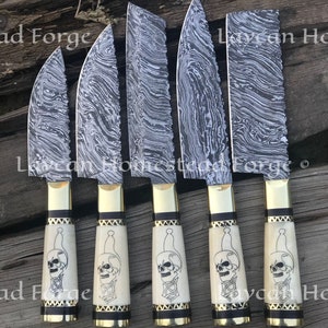Handmade Damascus Steel Kitchen Knife set-Skull Design Handle Handcraft Chef Knives Professional Culinary Knife set Unique Gift For Chefs