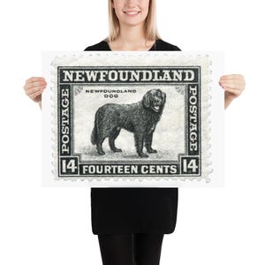 Neufundländer Vintage Briefmarke mit einem Neufundländer - Fotopapier Poster