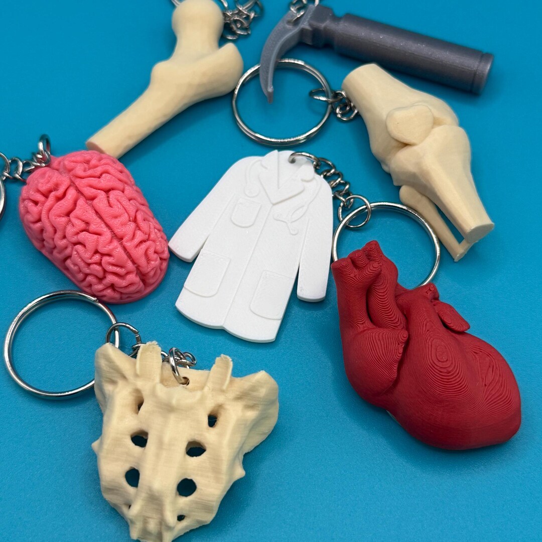 Medical Field Keychains: Brain, Heart, White Coat, Sacrum, Femur, Knee ...