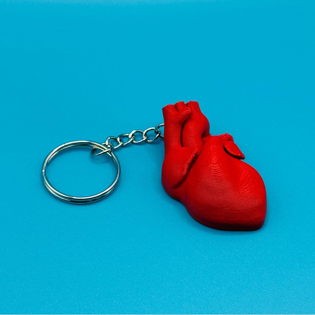 3D Printed Anatomy - Heart Keychain - Customizable - Etsy