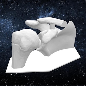 May include: A white 3D printed model of a human shoulder joint. The model is made up of two parts, the scapula and the humerus. The scapula is the larger part of the model and is shaped like a wing. The humerus is the smaller part of the model and is shaped like a bone. The two parts of the model are connected by a joint.