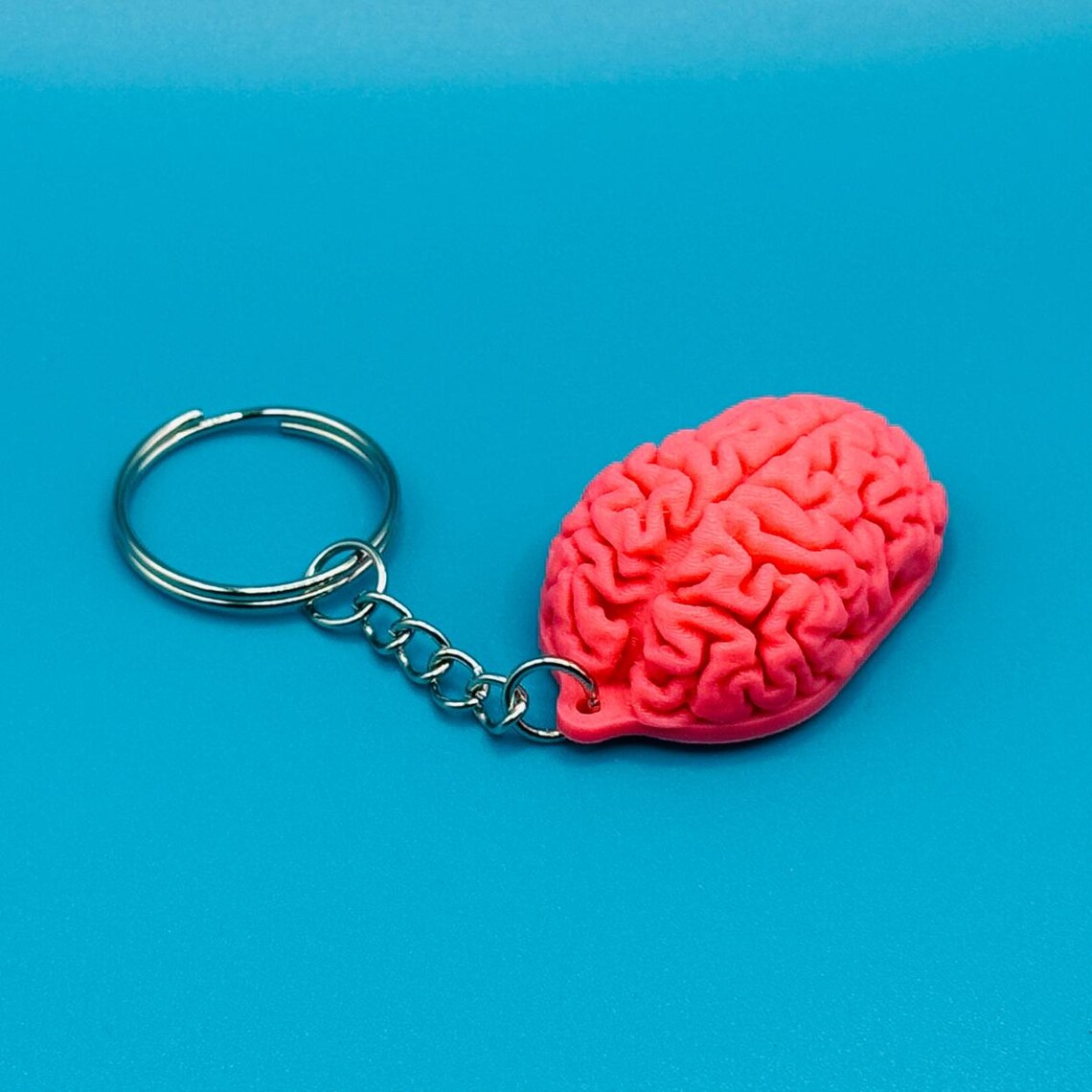 3D Printed Anatomy - Brain Keychain- Customizable - Etsy
