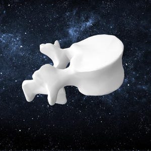 May include: A white anatomical model of a human vertebra, isolated against a dark blue background with white stars.