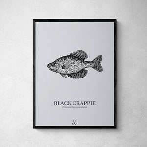 FISH POSTER BUNDLE Fishing Gift Fish Gift Crappie Printable Fishing Wall Art Minimalist Poster Fishing Gift for Men Fishing Gift for Women