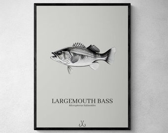 FISH POSTER BUNDLE Largemouth Bass Fishing Gift Fish Gift Printable Fishing Wall Art Minimalist Poster Fishing Gift for Men Women