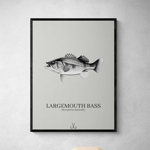 FISH POSTER BUNDEL Largemouth Bass Fishing Gift Fish Gift Printable Fishing Wall Art Minimalist Poster Vissen Cadeau voor mannen vrouwen