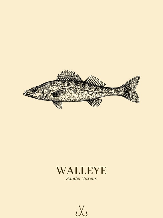 FISH POSTER BUNDLE Fishing Gift Fish Gift Walleye Printable