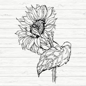 Sonnenblume SVG PNG Clipart: Cricut Cut Datei (Instant Download)