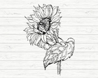 Sonnenblume svg png, Sonnenblume Clipart, Sonnenblume geschnitten Datei, Sonnenblume Cricut, sofortiger download
