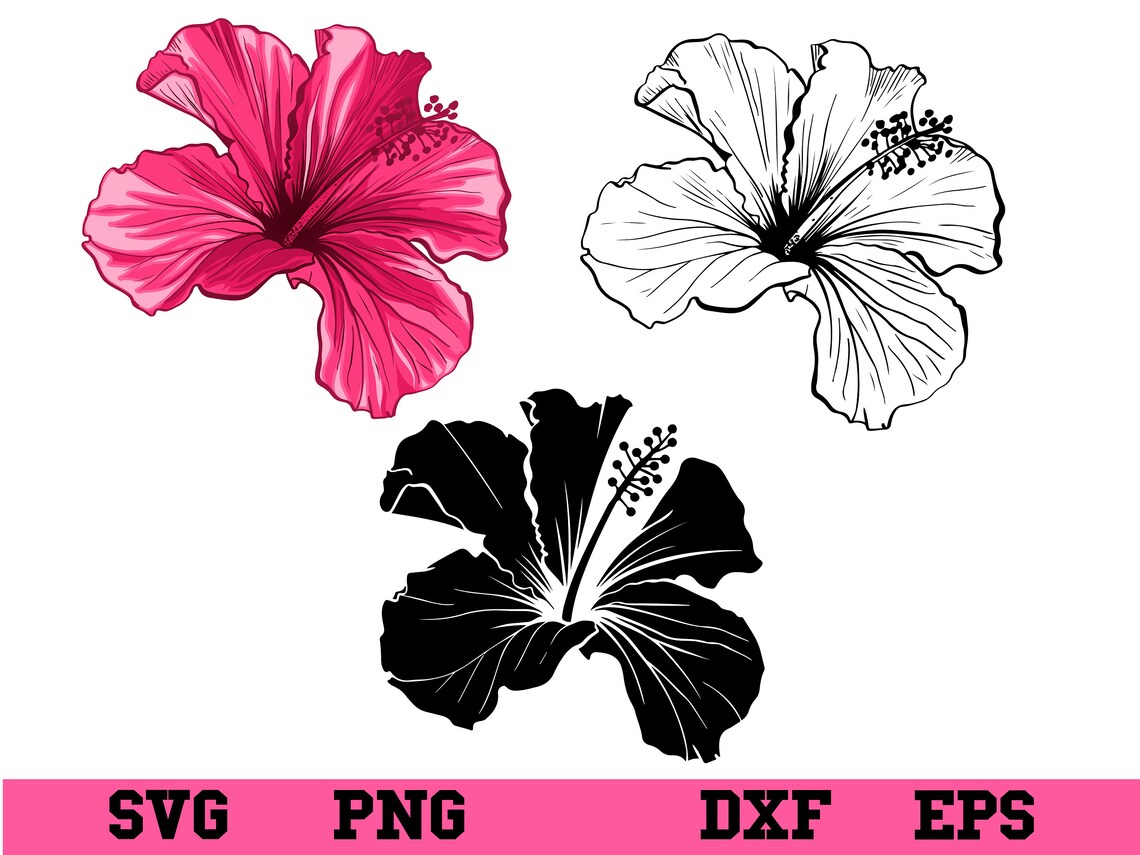 Hibiscus Svg Bundle , Hawaiian Flower Svg , Hibiscus Png , Hawaiian