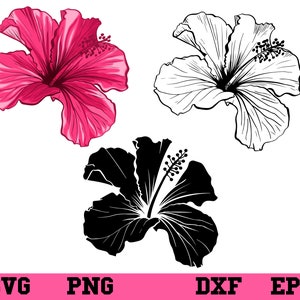 Hawaiian Hibiscus Flower SVG Bundle: Tropical Clipart (Digital Download)