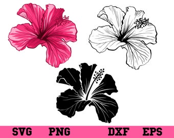 Hibiscus SVG, Floral, Flowers SVG PNG Digital Download, Tropical Flower ...