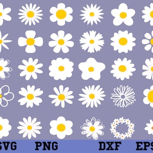 daisy svg bundle , daisy png , daisy flower svg , daisy clipart , daisy silhouette